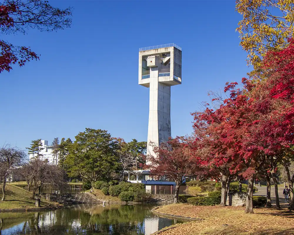 木下工務店つくば市分譲地 近隣イメージ 松見公園